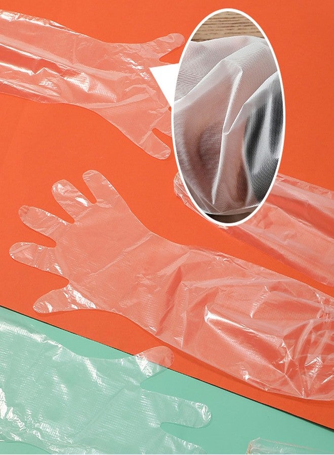 ArrErr 20 Pack Disposable Poly Gloves with Long Sleeve Plastic Disposable Gloves Long Cleaning Gloves Waterproof Cast Covers Protector for Shower Arm Garden Weeding Livestock Exam - Image 4